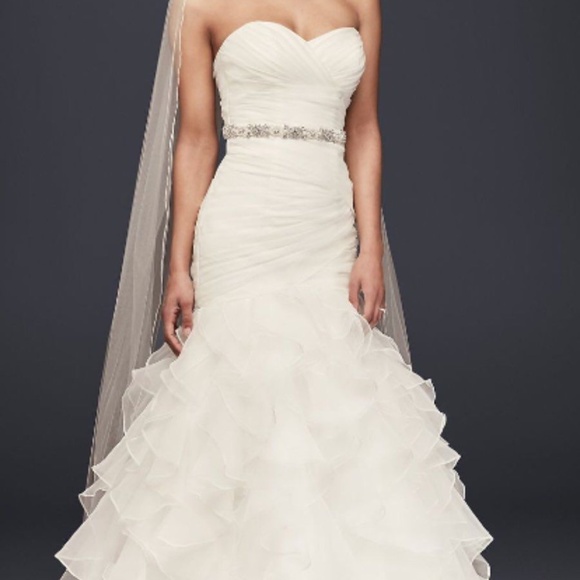 David's Bridal Mermaid Dress